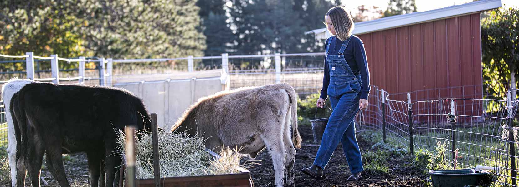 Denim Bib Overalls